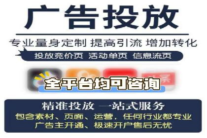 百度SEO推广策略全解析：某企业从零到一的成长历程